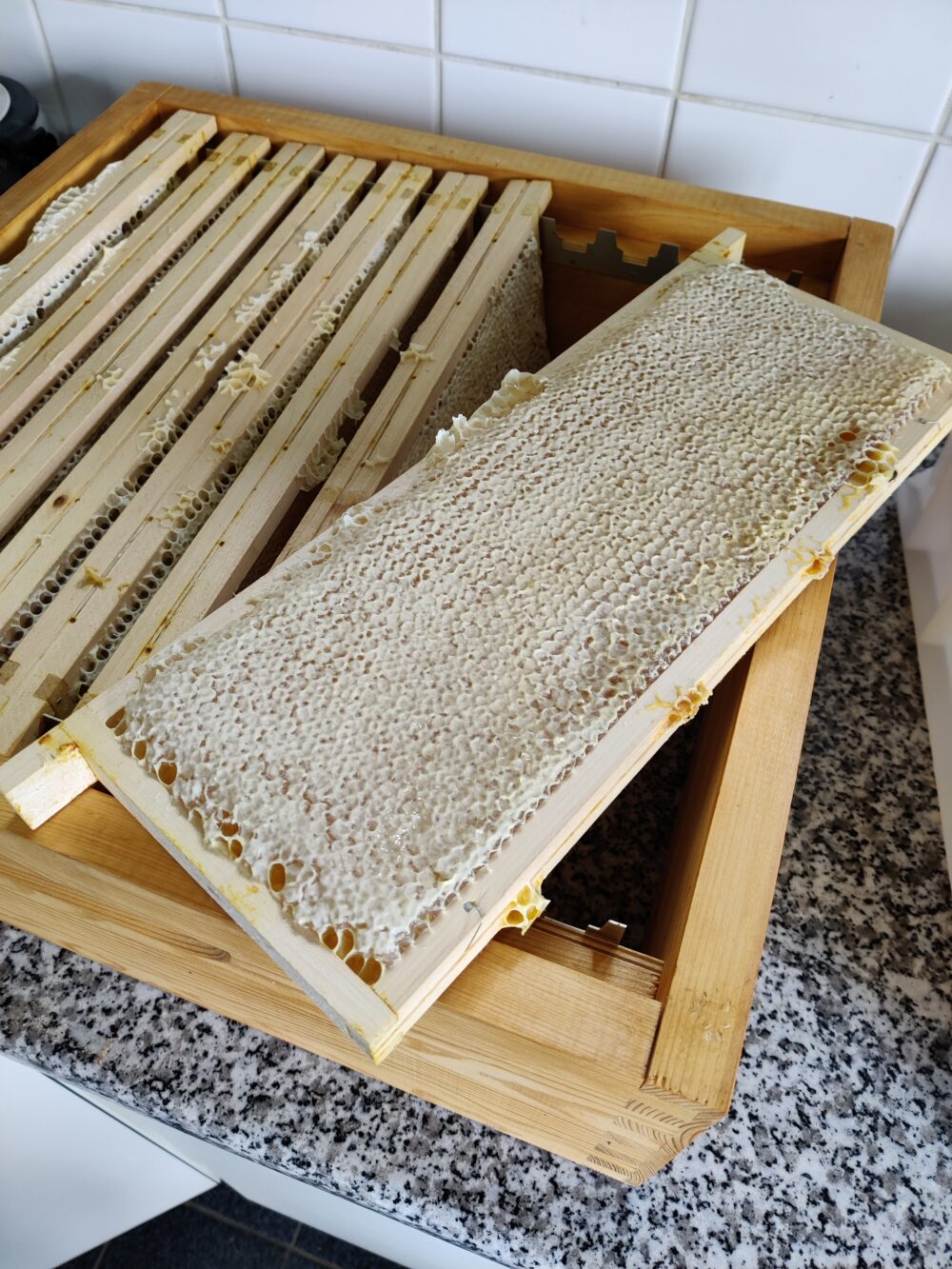 2021 - Voorjaarshoning - 500gr (oogst 2) - Afbeelding 7