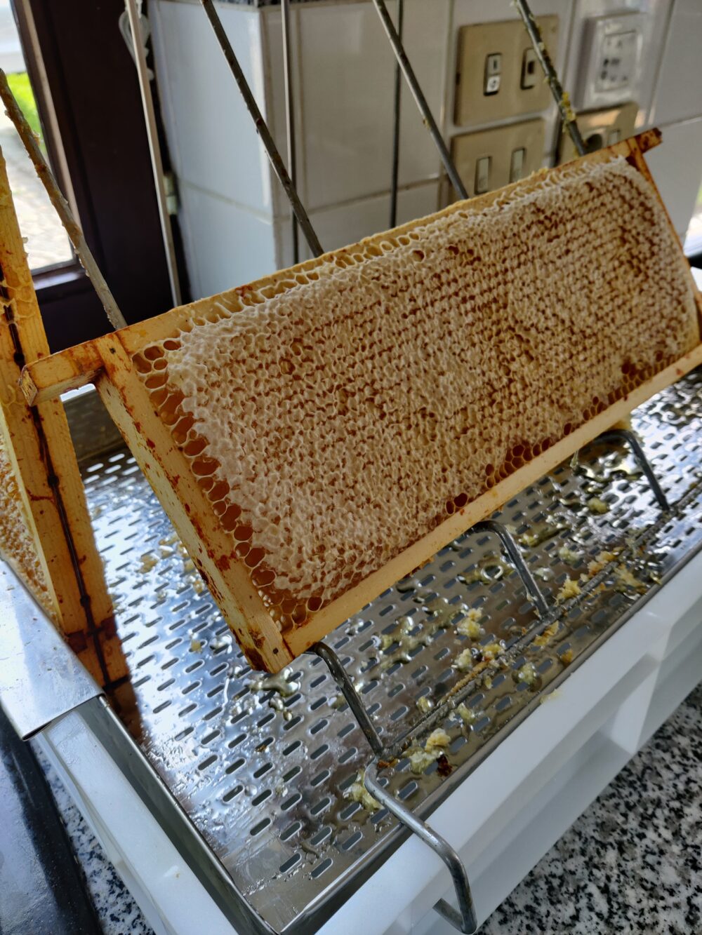 2022 - Voorjaarshoning - 500gr - Afbeelding 5