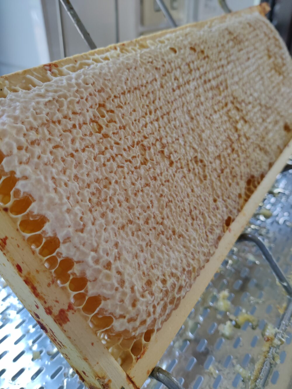 2022 - Voorjaarshoning - 500gr - Afbeelding 6