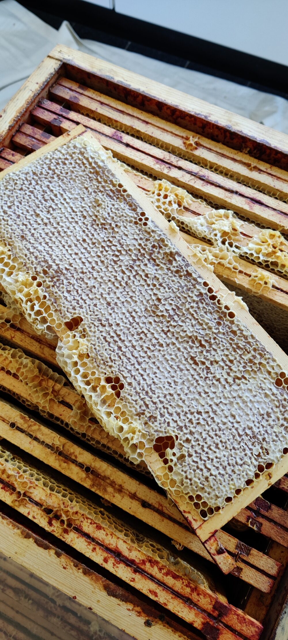 2023 - Voorjaarshoning - 500gr - Afbeelding 4