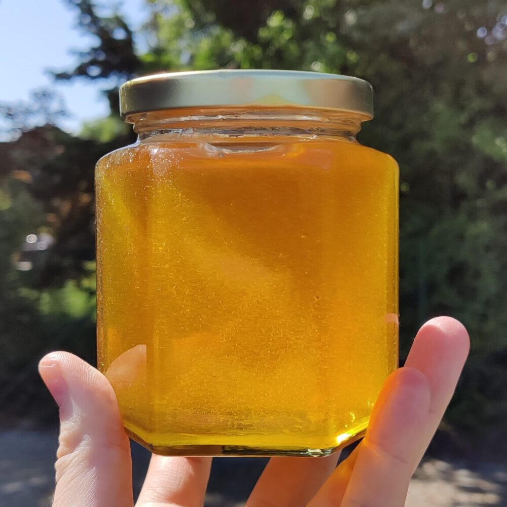 2023 - Voorjaarshoning - 500gr - Afbeelding 3