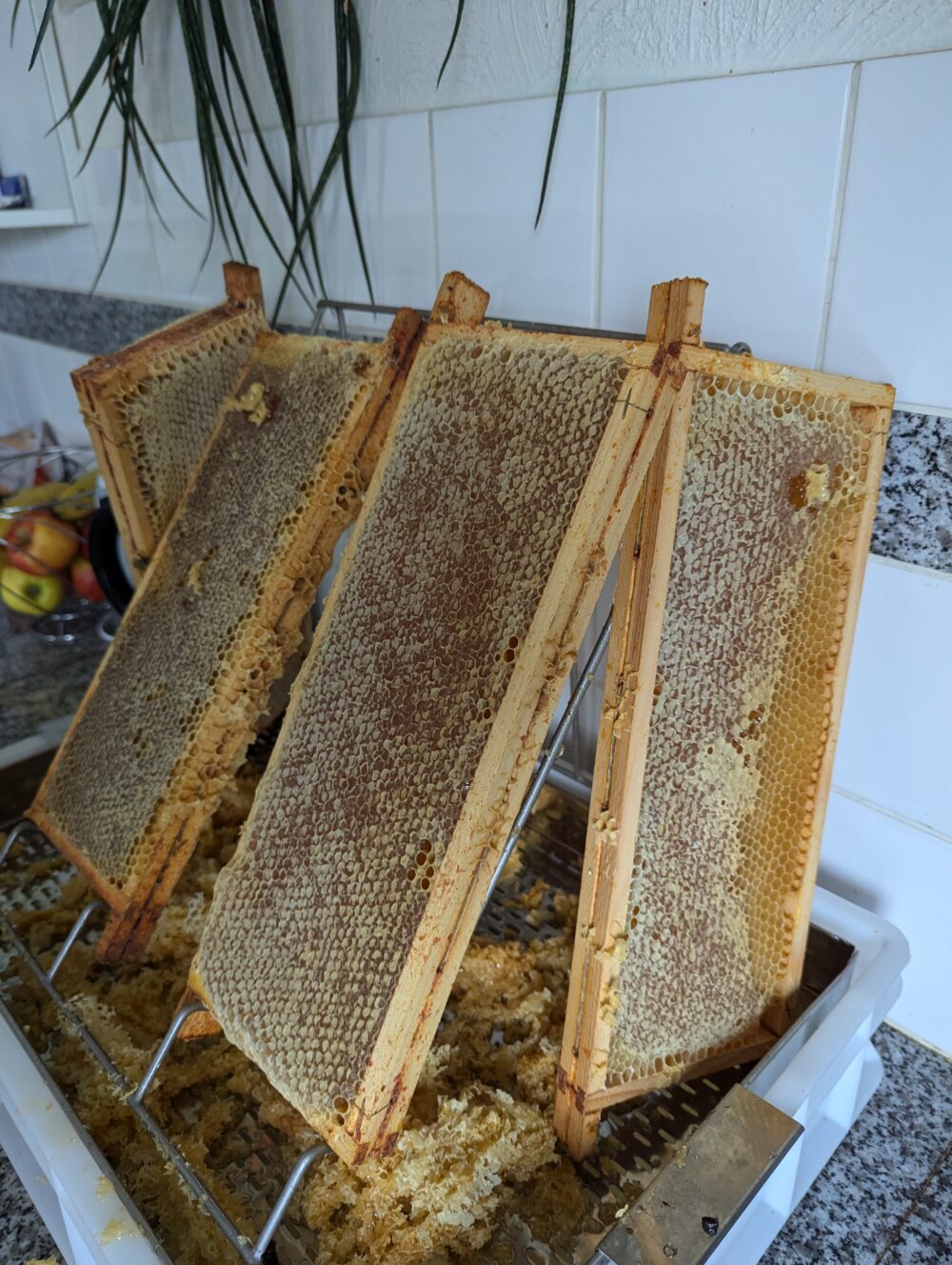 2024 - Voorjaarshoning - 500gr - Afbeelding 5