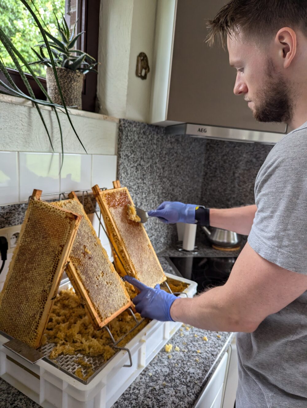 2024 - Voorjaarshoning - 500gr - Afbeelding 3